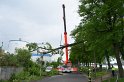 Baum auf Fahrbahn Koeln Deutz Alfred Schuette Allee Mole P672